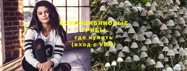 прущий лед Абаза