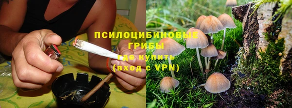 прущий лед Абаза