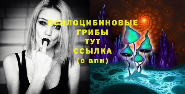 твердый Абинск