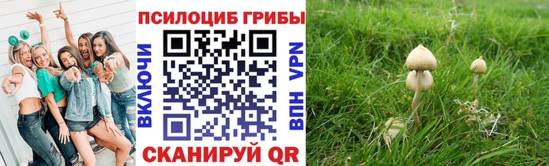 Псилоцибиновые грибы Cubensis  Новосибирск 