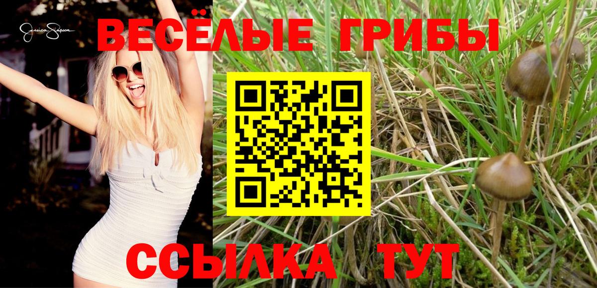 Псилоцибиновые грибы ЛСД  хочу   Новосибирск  Вход с VPN 