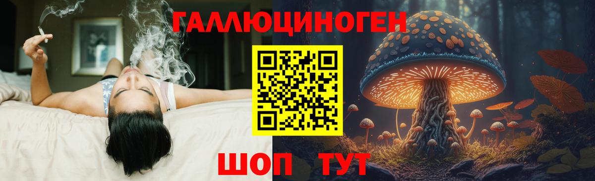 Галлюциногенные грибы прущие грибы Новосибирск